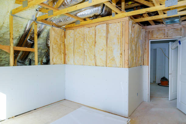 Best Eco-Friendly Insulation Solutions  in Deridder, LA